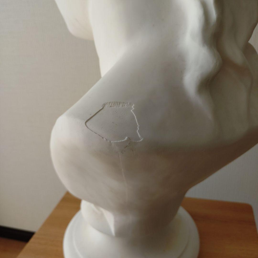 ミロのビーナス　胸像