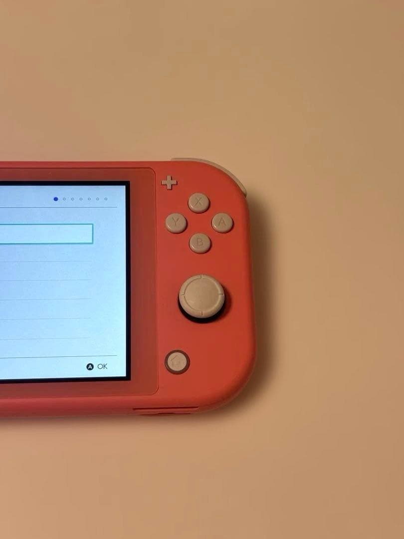 Nintendo Switch Lite 本体 ピンク 充電器付き 動作確認済