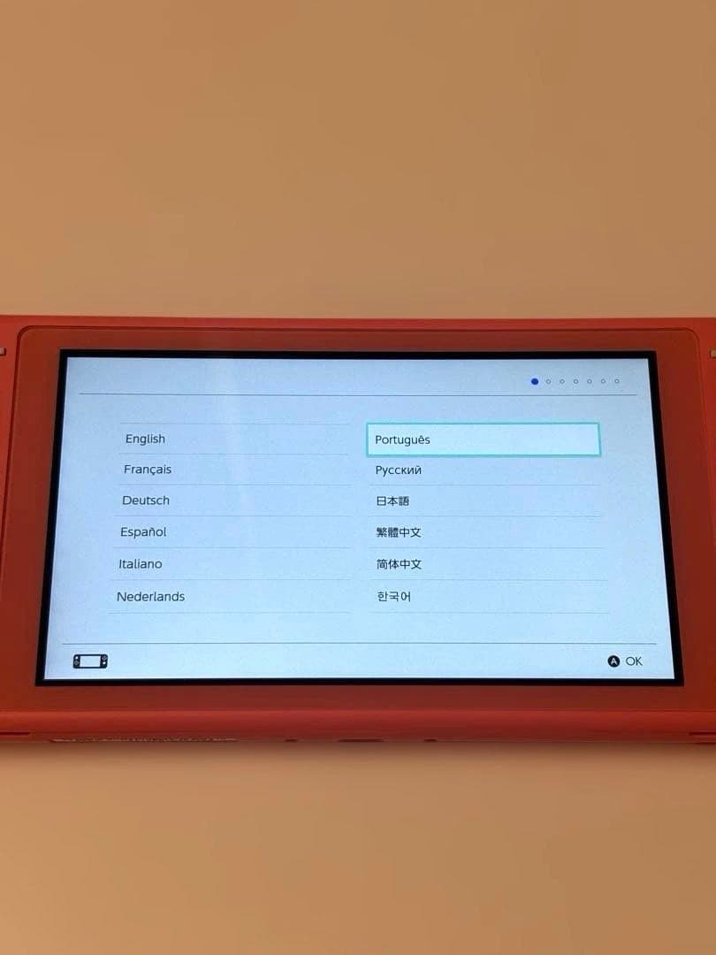 Nintendo Switch Lite 本体 ピンク 充電器付き 動作確認済