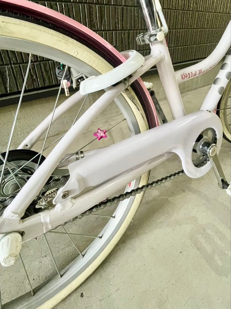 ブリヂストンサイクル　ジュニア向け自転車「ワイルドベリー」　20インチ