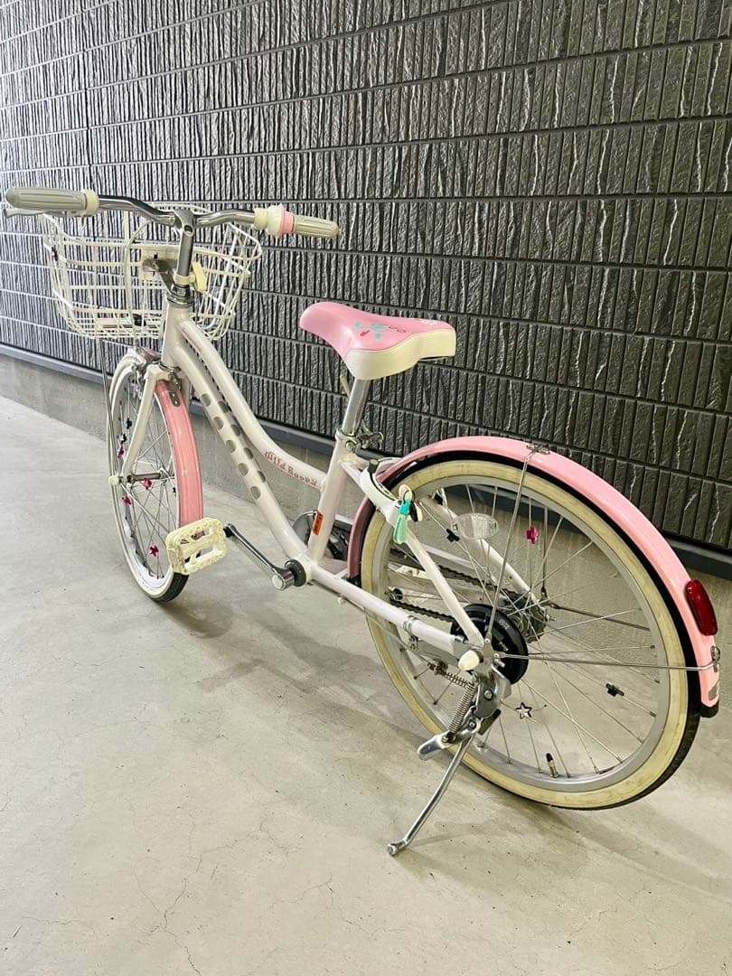 ブリヂストンサイクル　ジュニア向け自転車「ワイルドベリー」　20インチ