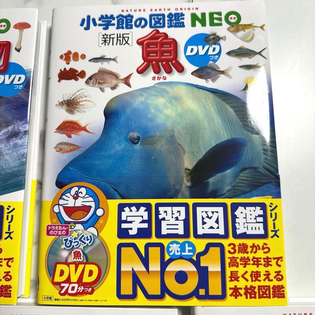 美品【DVD付き】新版 小学館の図鑑NEO シリーズ5冊セット