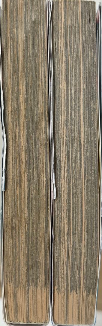 [全初版] パラダイスレディー 全2巻セット かきざき和美