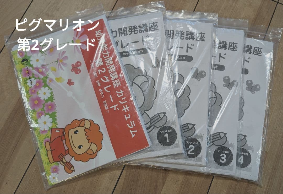 ピグマリオン　第2グレード