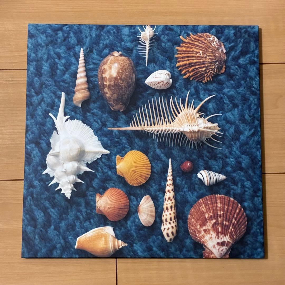 Spitz CYCLE HIT 1991-2017 完全受注生産限定商品 LP