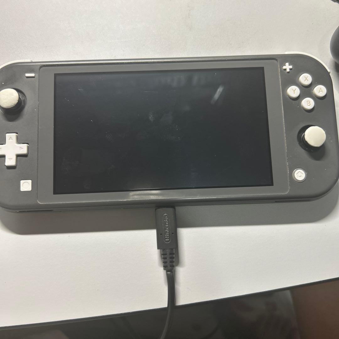 Nintendo Switch Lite グレー 本体(箱無し)