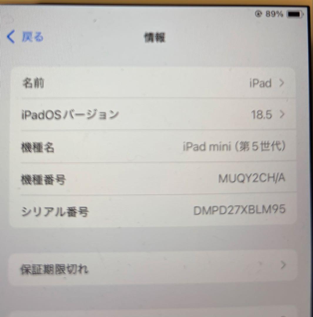 Apple iPad mini 本体　バッテリー最大容量92％