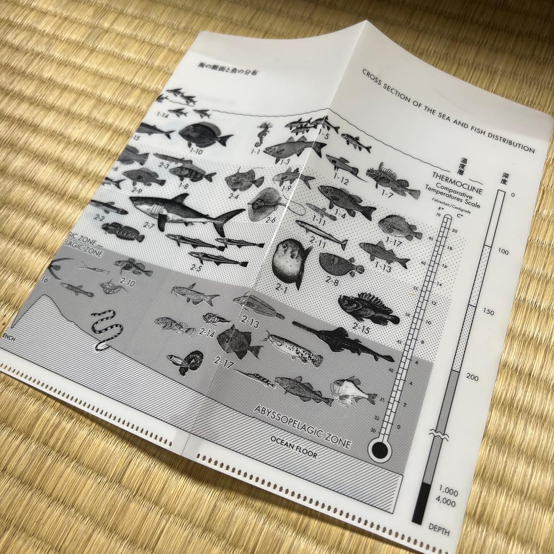 【クリアフォルダ付】3枚組 サカナクション「魚図鑑」プレミアムBOX CD