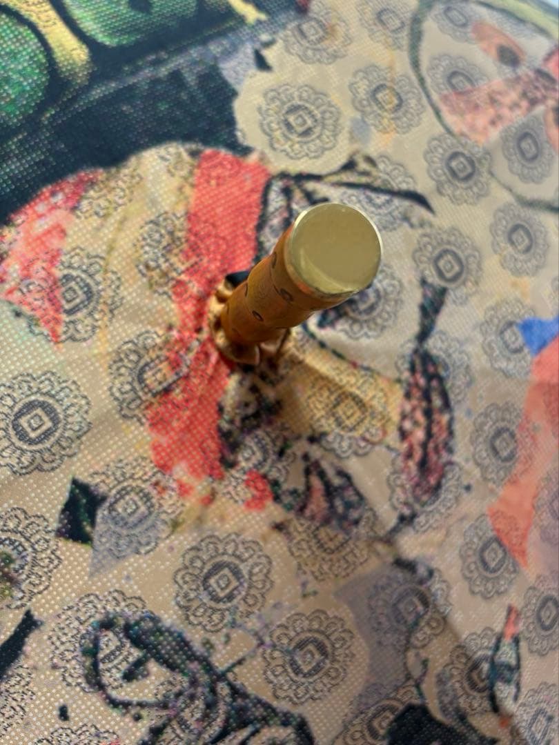 【最終値下げ】VivienneWestwood 長傘