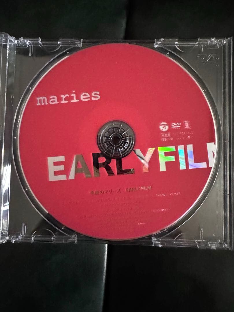毛皮のマリーズ DVD EARLYFILM グッズ アナログ ドレスコーズ