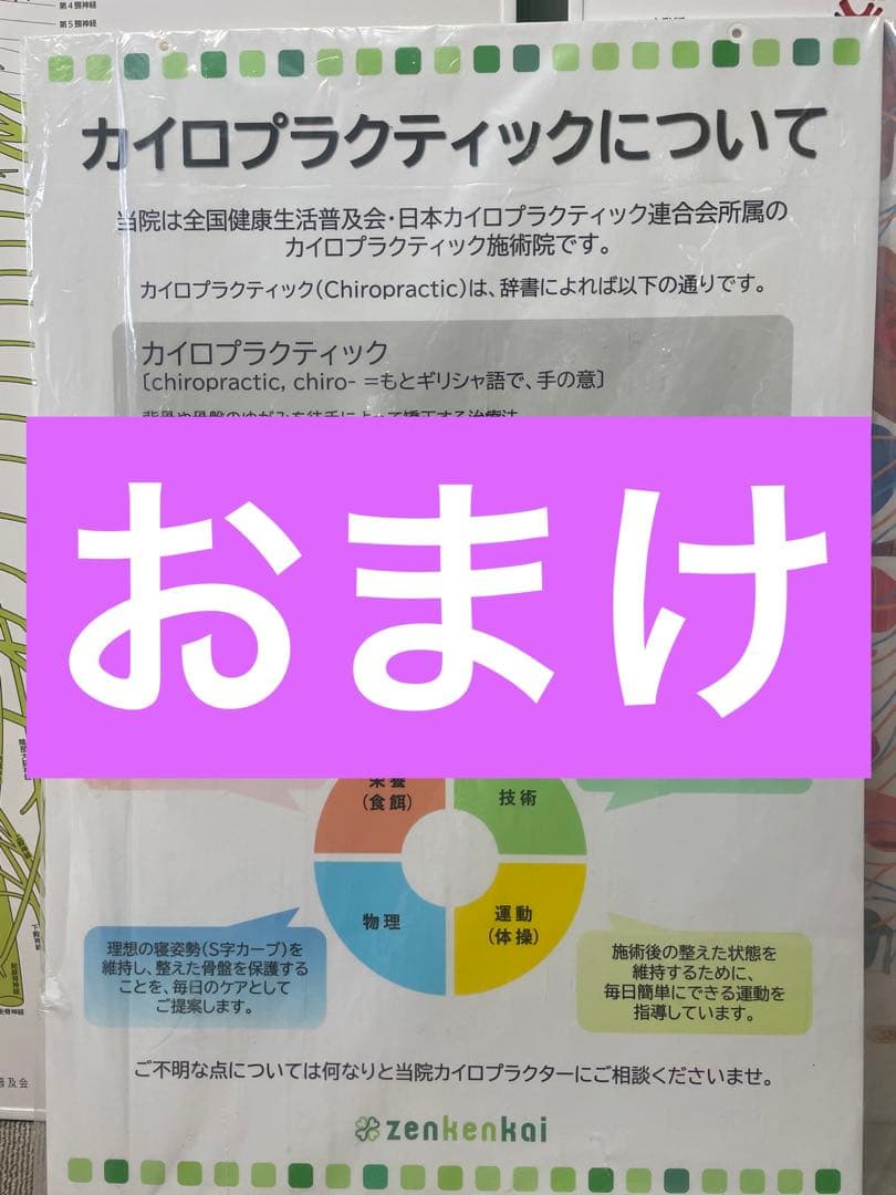 自律神経系統図　人体神経系統図　おまけ付き