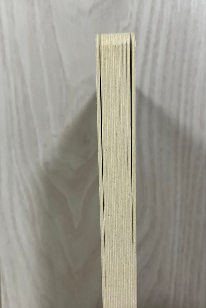 ポケモン金銀えほん『ヒノアラシとふしぎなあな』