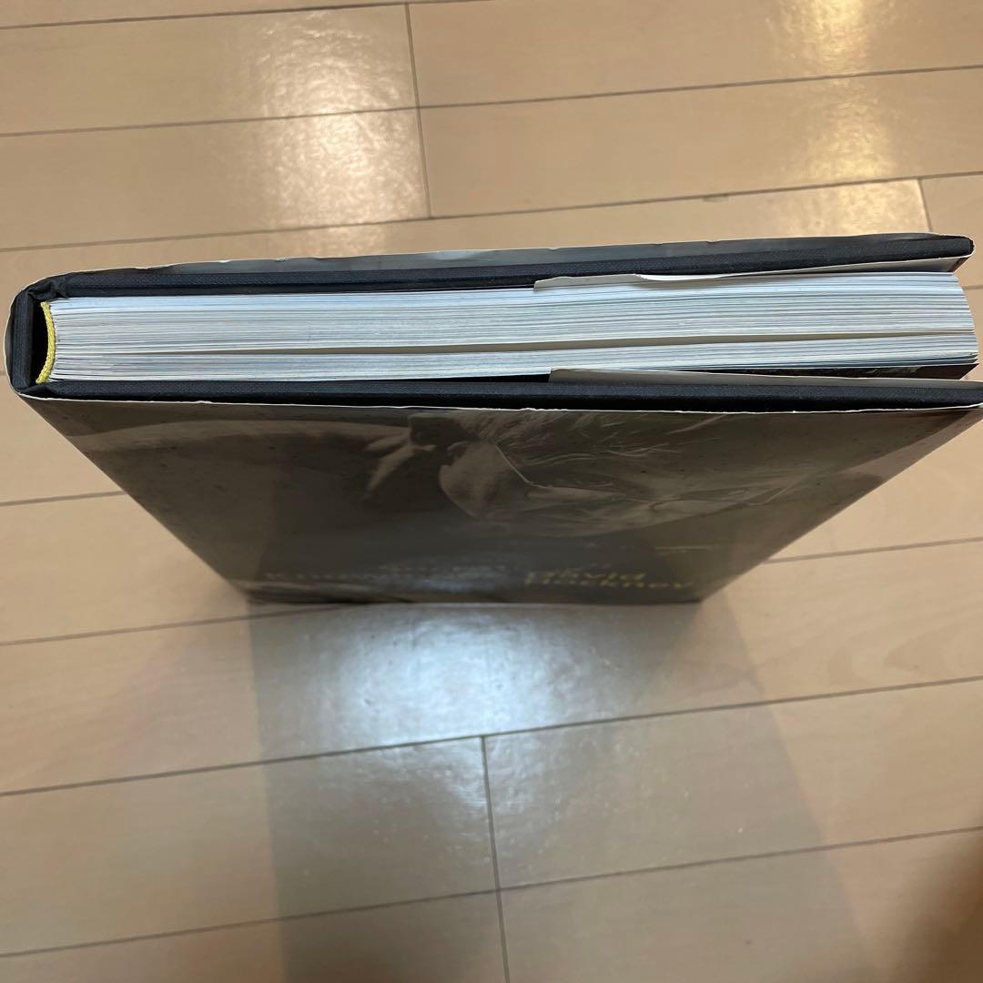 美品　Secret Knowledge David Hockney