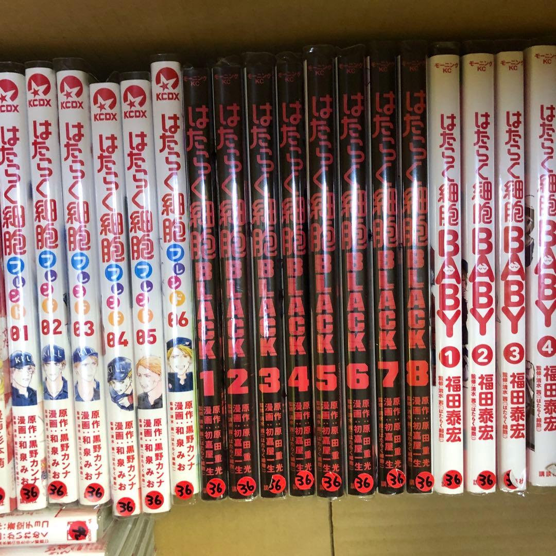 はたらく細胞 関連本 コミック42冊 全巻 セット S1006
