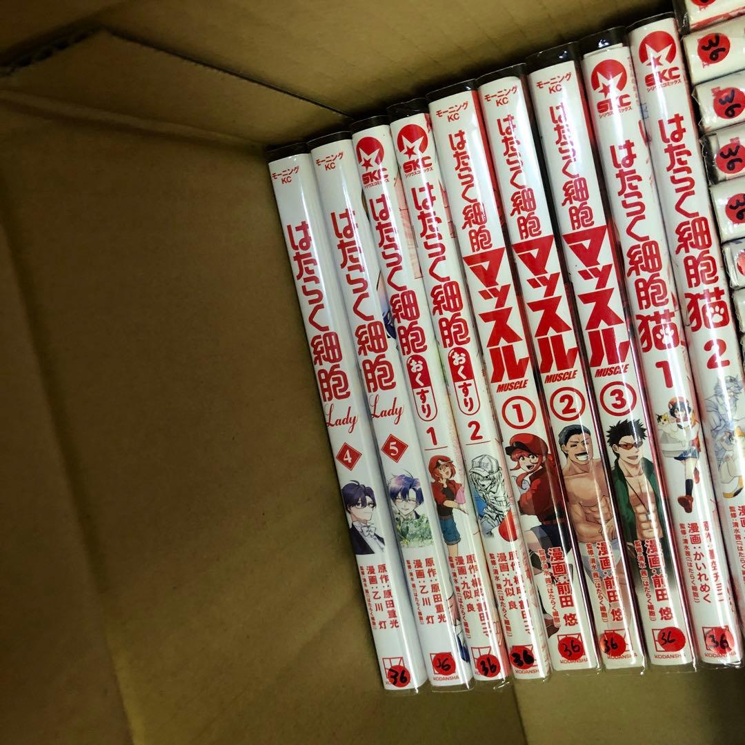 はたらく細胞 関連本 コミック42冊 全巻 セット S1006