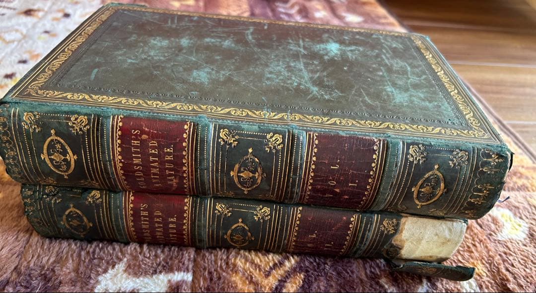 洋書 History of the Earth & Animated Nature