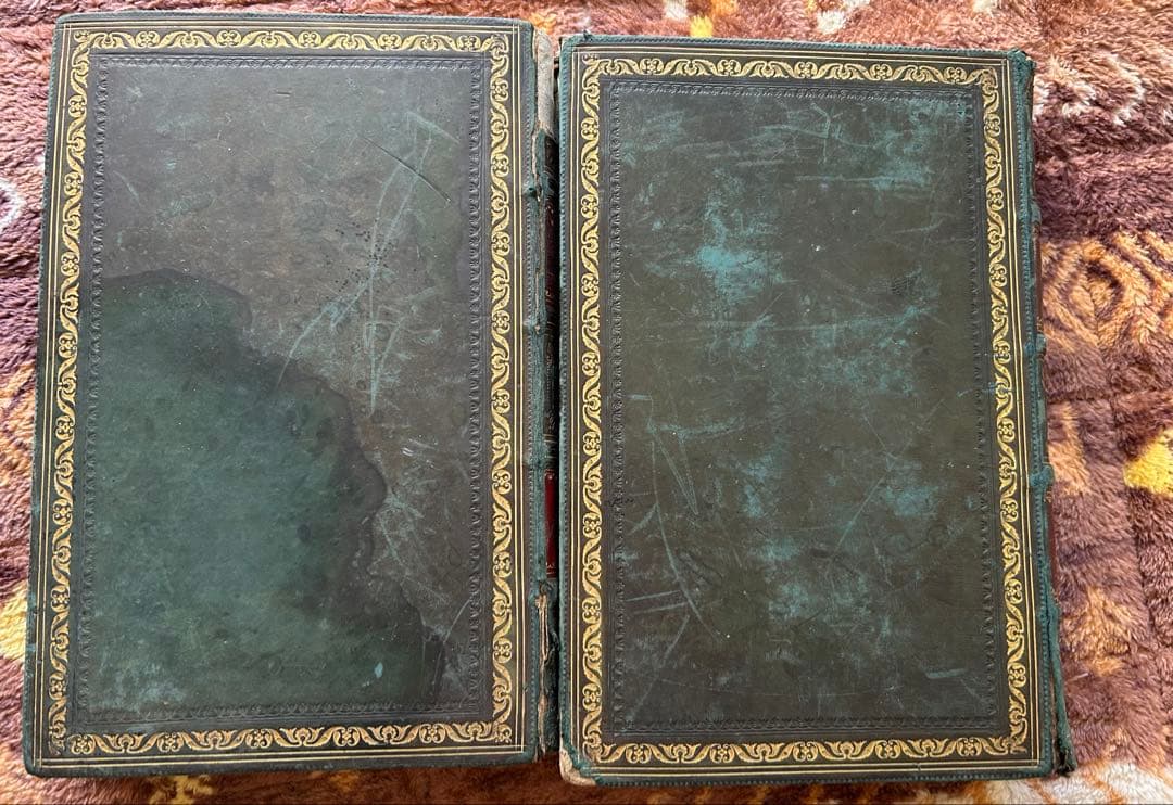 洋書 History of the Earth & Animated Nature