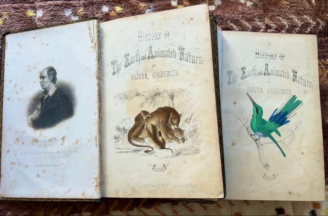 洋書 History of the Earth & Animated Nature