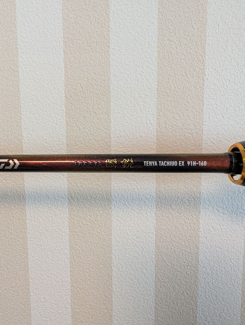 k*0様 瞬鋭　テンヤタチウオ　EX 91H - 160