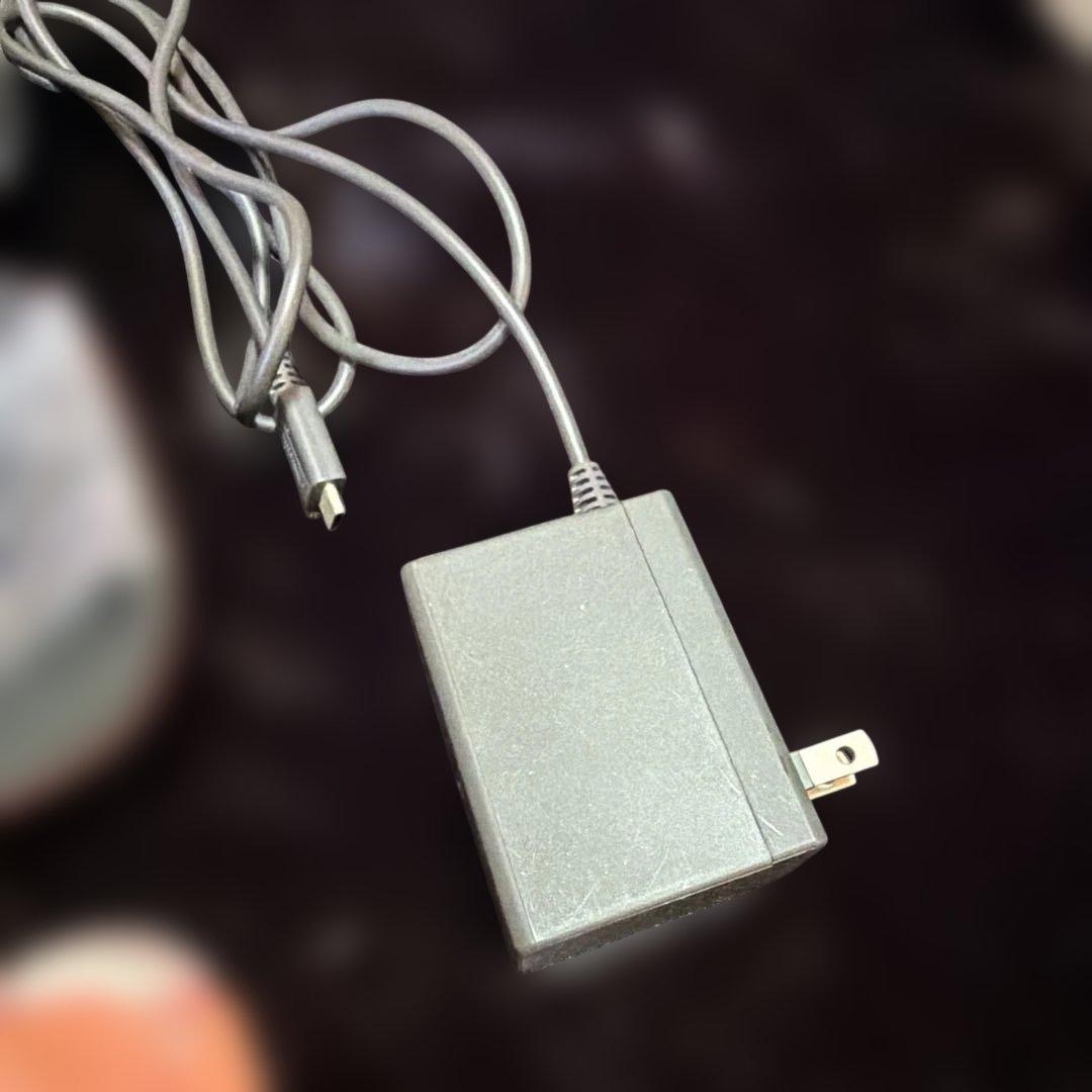 Nintendo Switch Lite ピンク ソフト2個付き