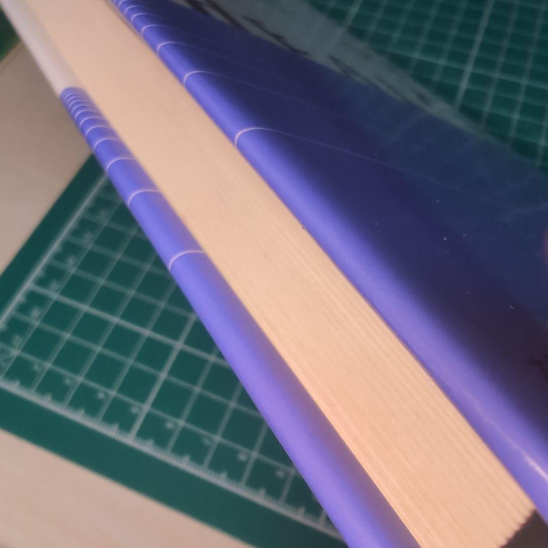 自然治療の健康相談　三石巌著