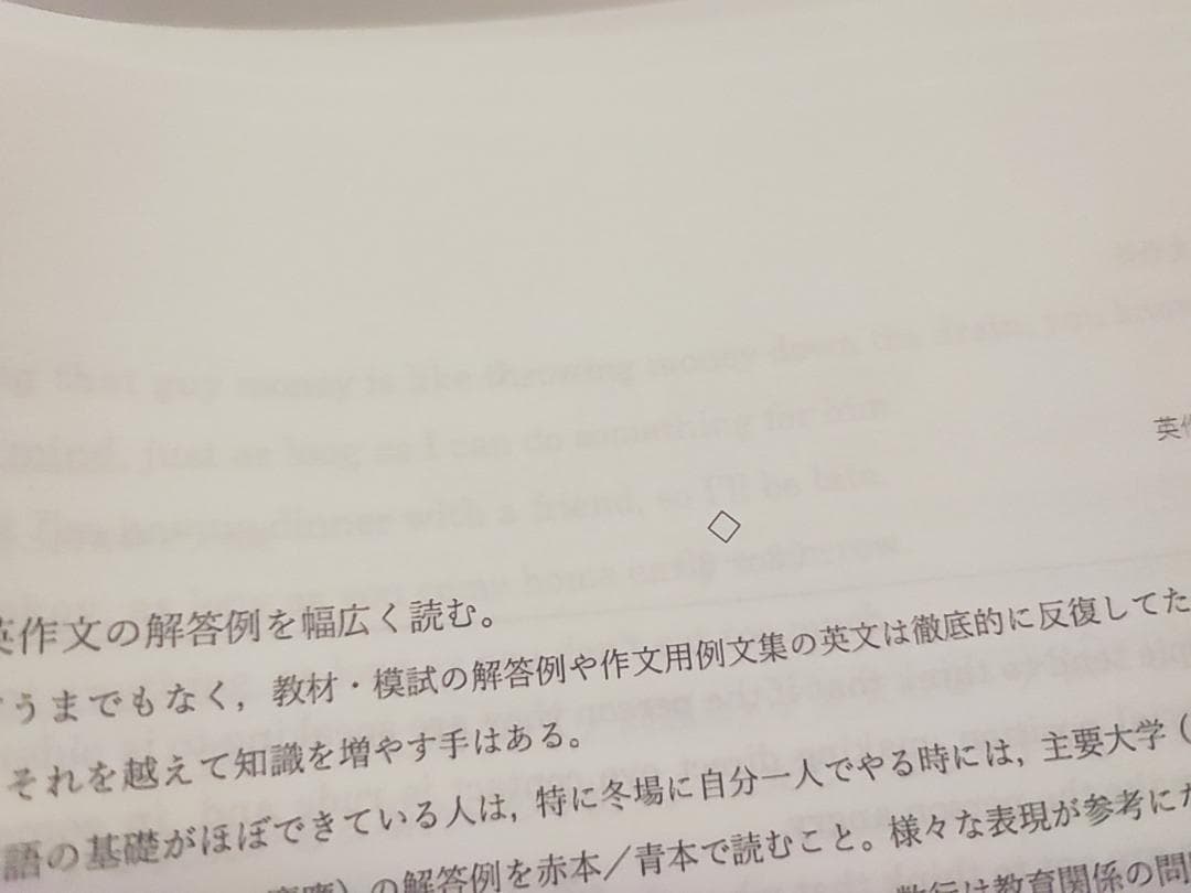 駿台の武富先生による23年英作文S問題解説セット　河合塾　鉄緑会　英語
