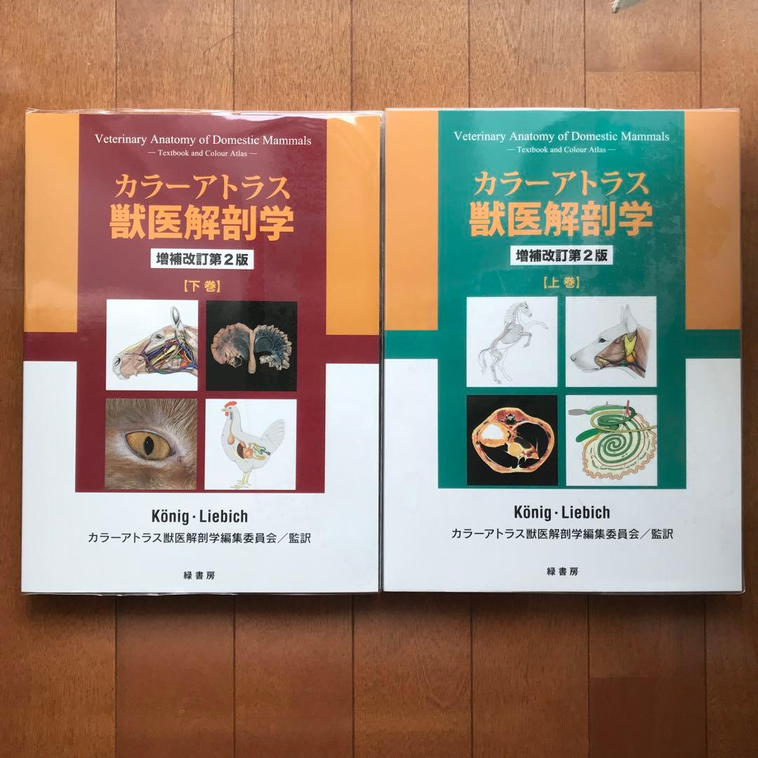 カラーアトラス獣医解剖学 上巻下巻