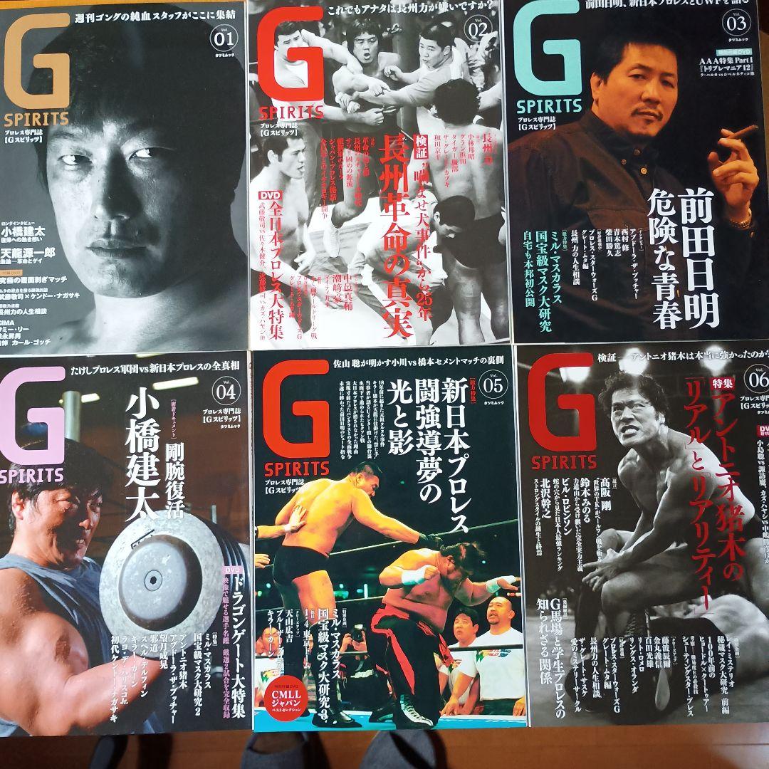 G SPIRITS 創刊号〜30号セット 全DVD付き Gスピリッツ プロレス