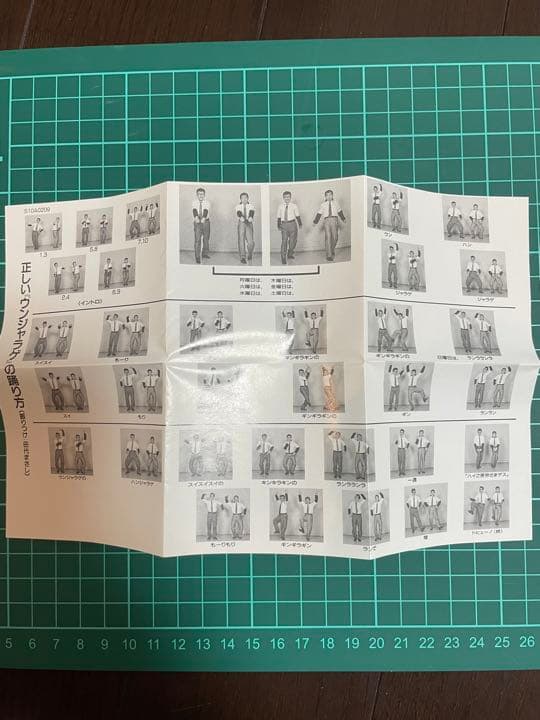 志村けん　ウンジャラゲ　田代まさし　バカ殿　だいじょうぶだぁ