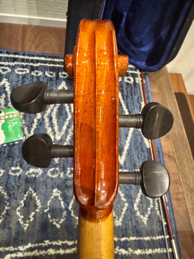 Carlo giordano バイオリン VS-0-44 4/4 フルサイズ