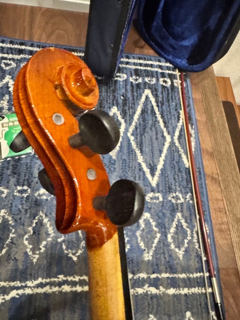 Carlo giordano バイオリン VS-0-44 4/4 フルサイズ