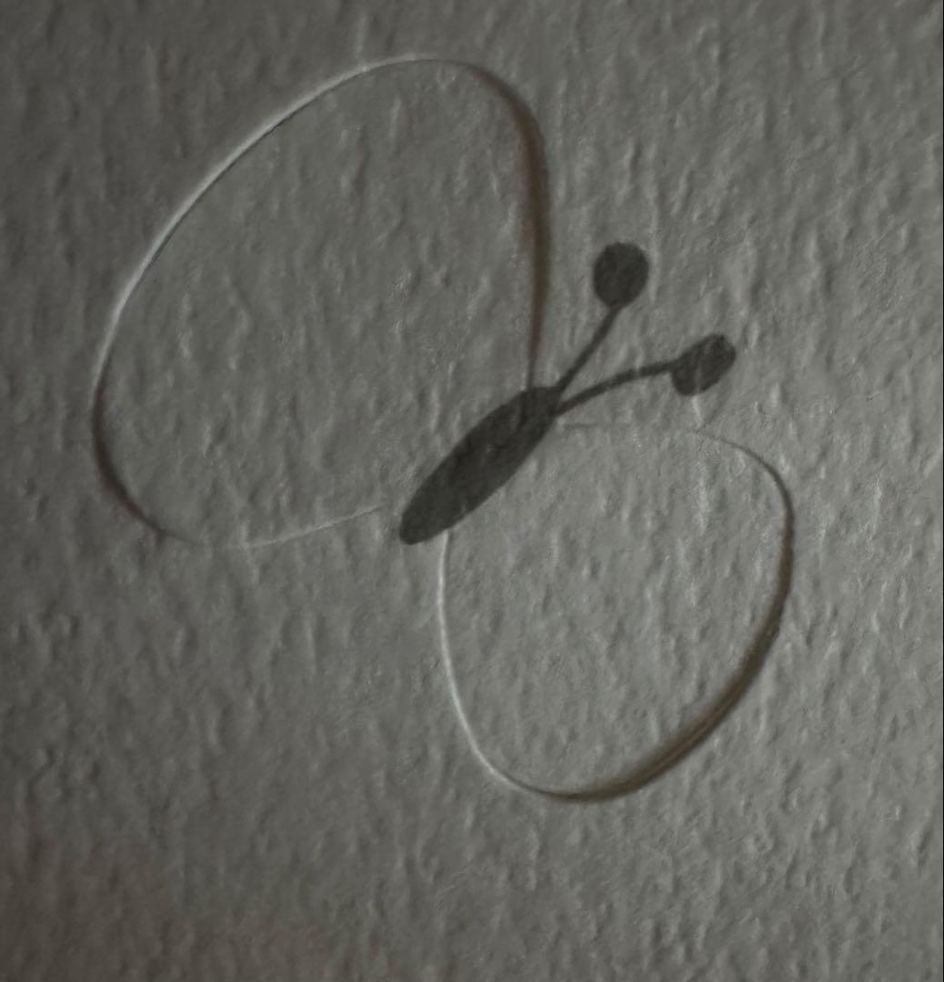 siro　ワンピース