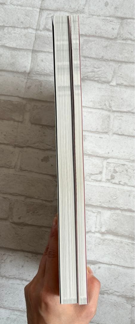 【美品】逆転裁判画集 成歩堂編、王泥喜編