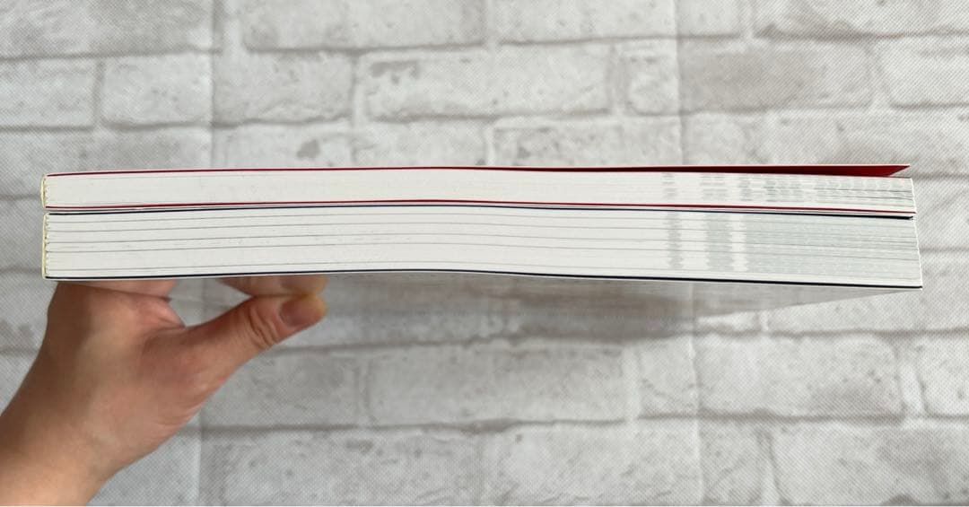 【美品】逆転裁判画集 成歩堂編、王泥喜編