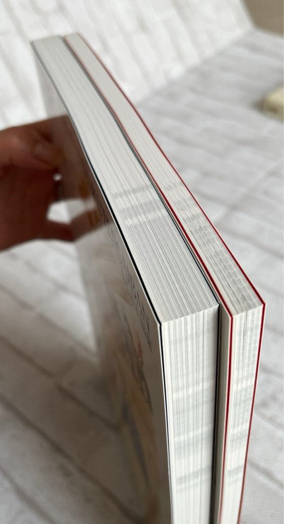 【美品】逆転裁判画集 成歩堂編、王泥喜編