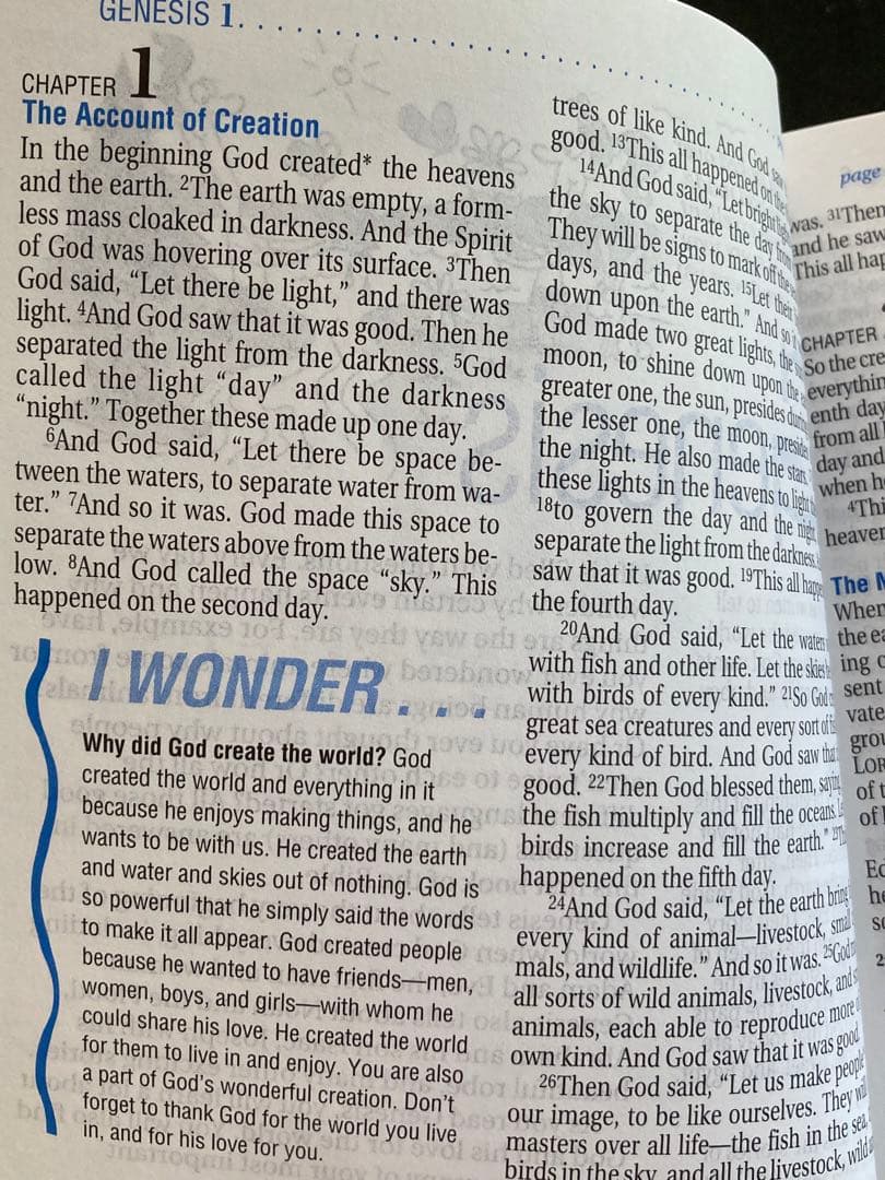 Kids life application bible 子供英語聖書