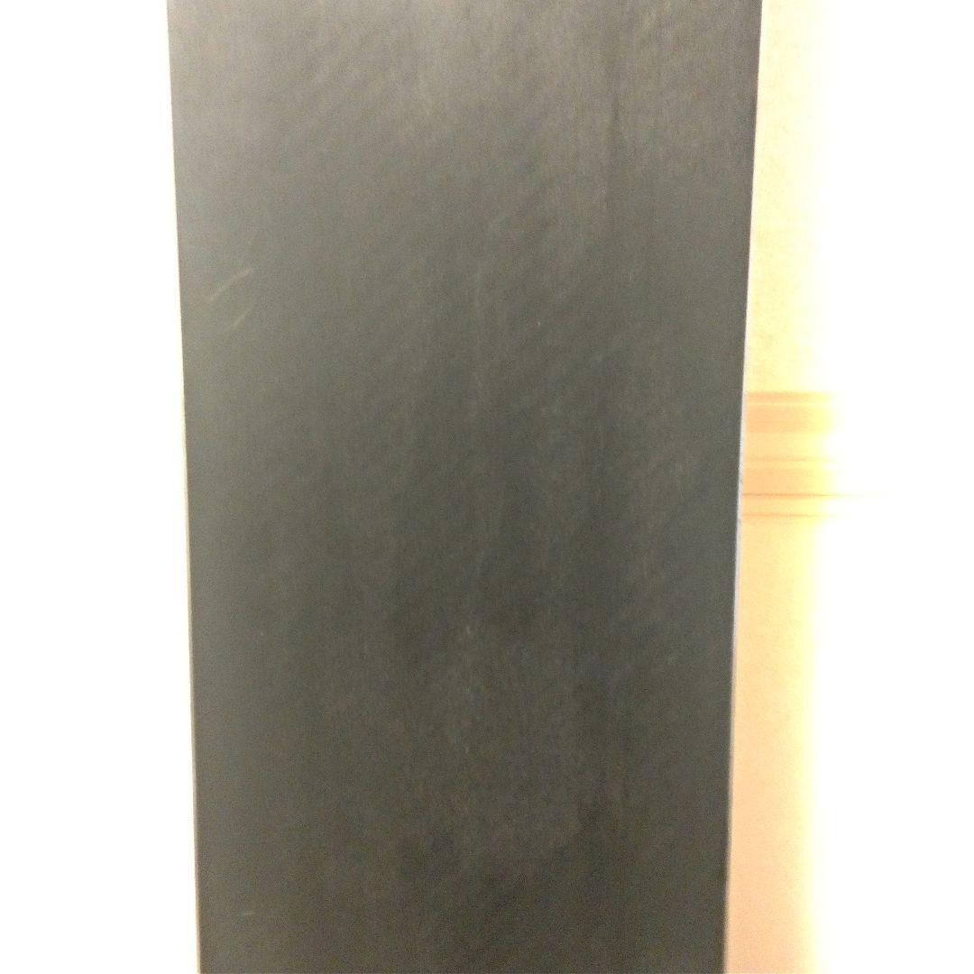 Gray Force 67 アルペンスノーボード