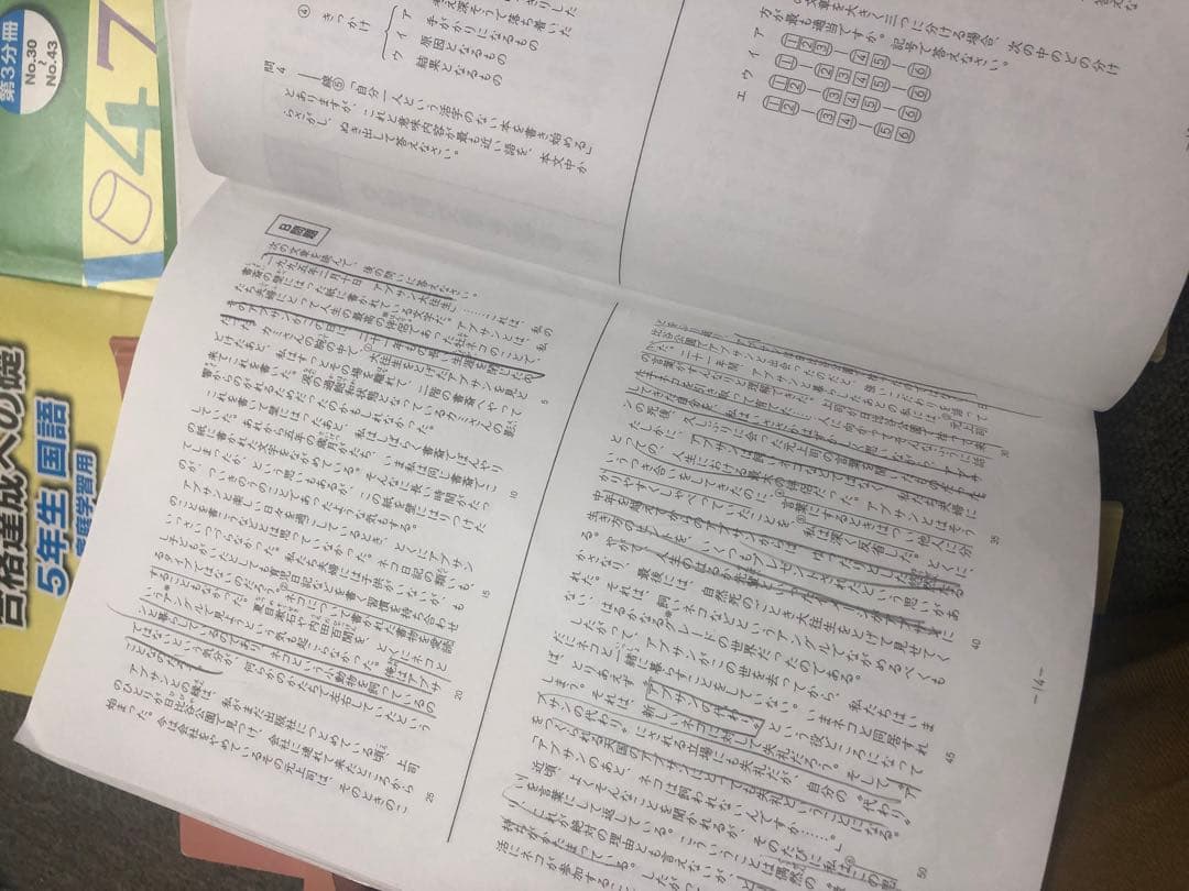 浜学園　小５　国語/算数/理科/夏期/冬期　テキスト　2021年版　 中古