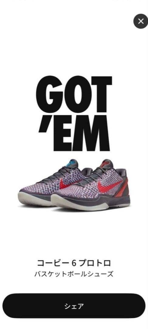 コービー 6 プロトロ 26.5