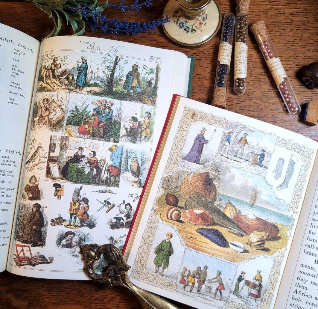 みどりさま専用