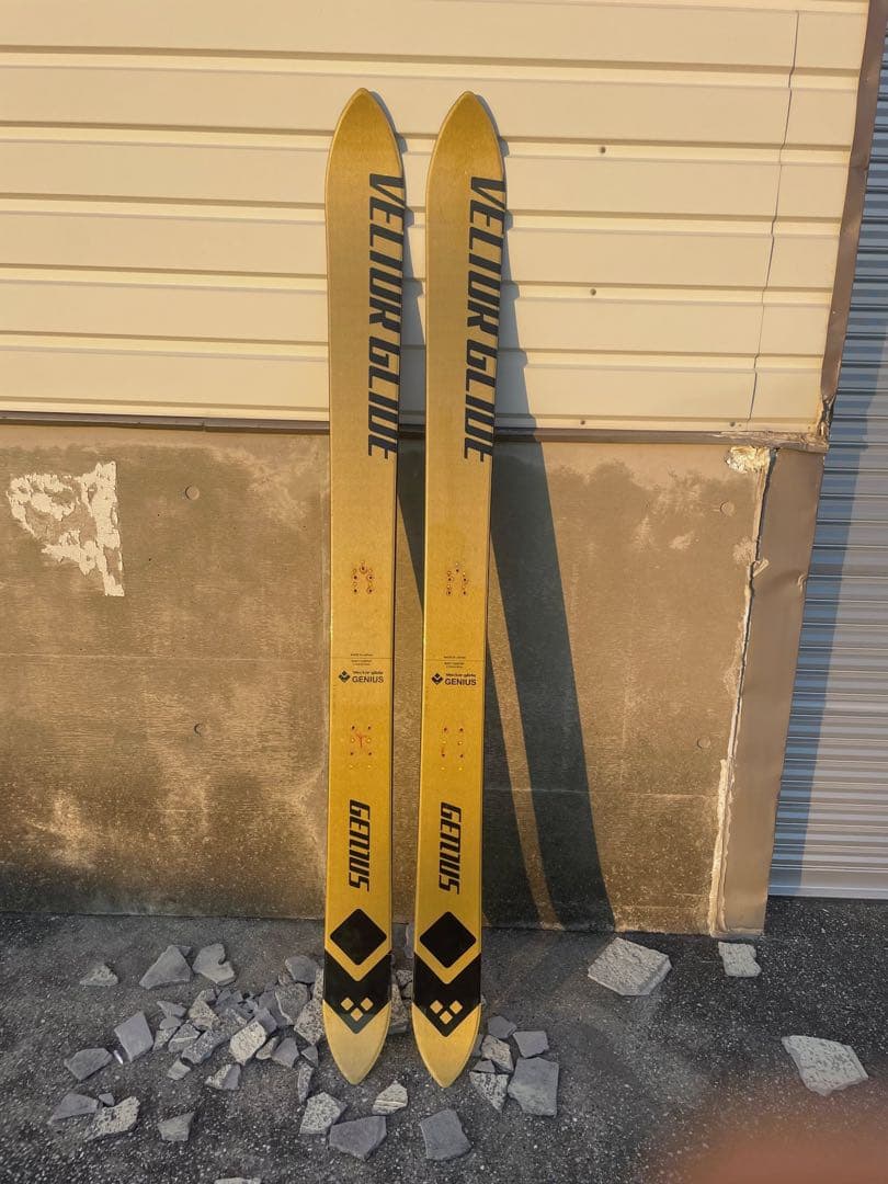 スキー VECTOR GLIDE GENIUS 193 cm