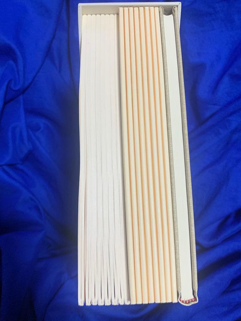 【未使用】コールデコットの絵本16冊セット・日本語解説書付　現代絵本の扉をひらく