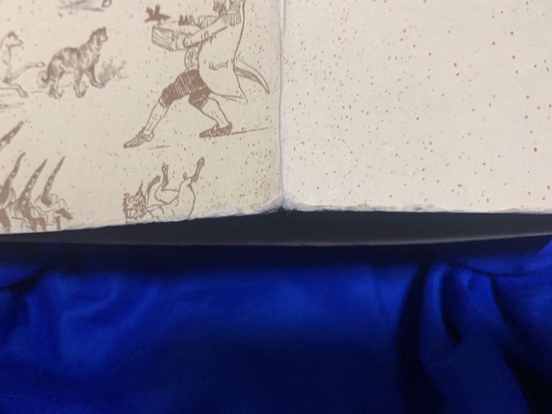 【未使用】コールデコットの絵本16冊セット・日本語解説書付　現代絵本の扉をひらく