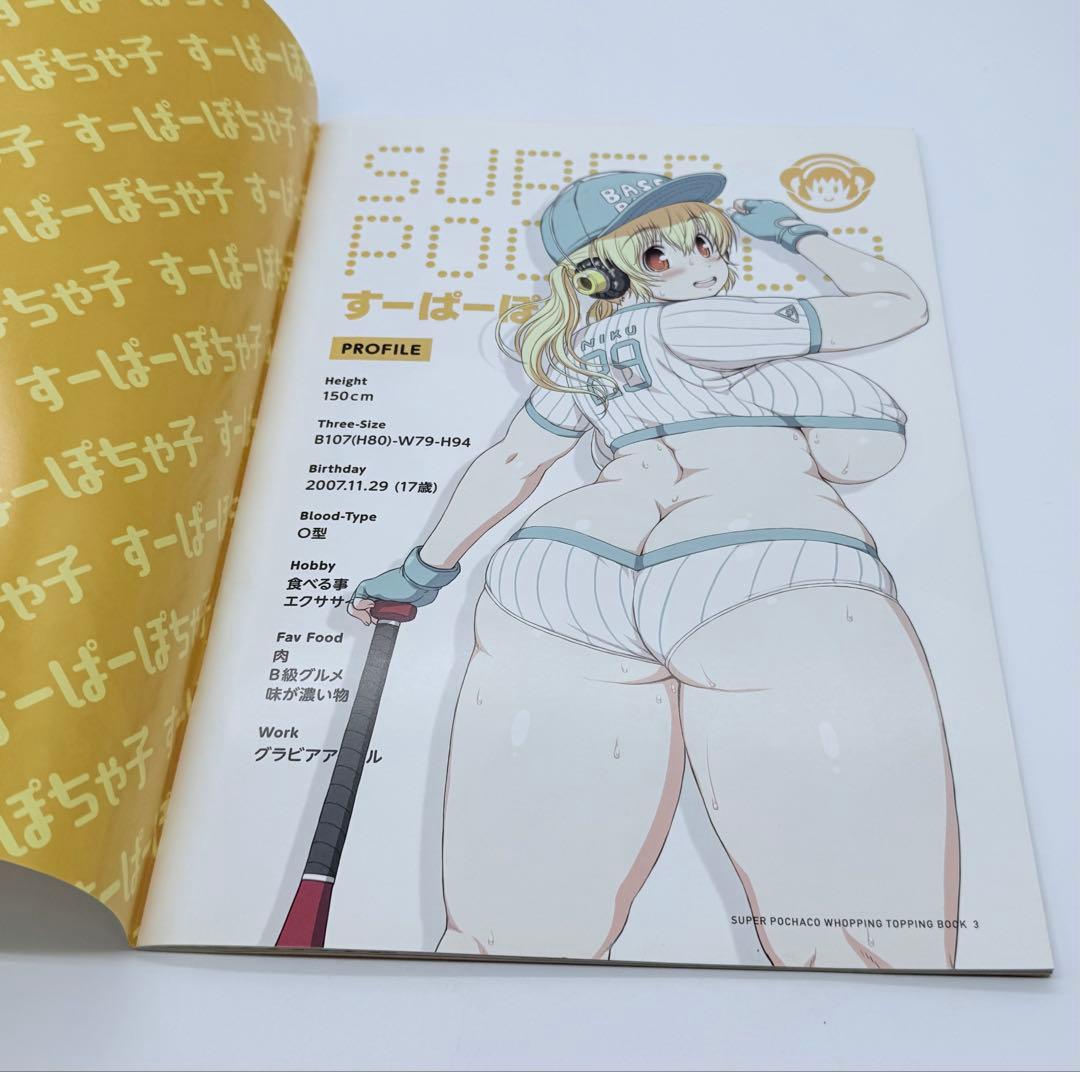 すーぱーぽちゃ子 ファンブック　クリアファイル付き　コミックマーケット89