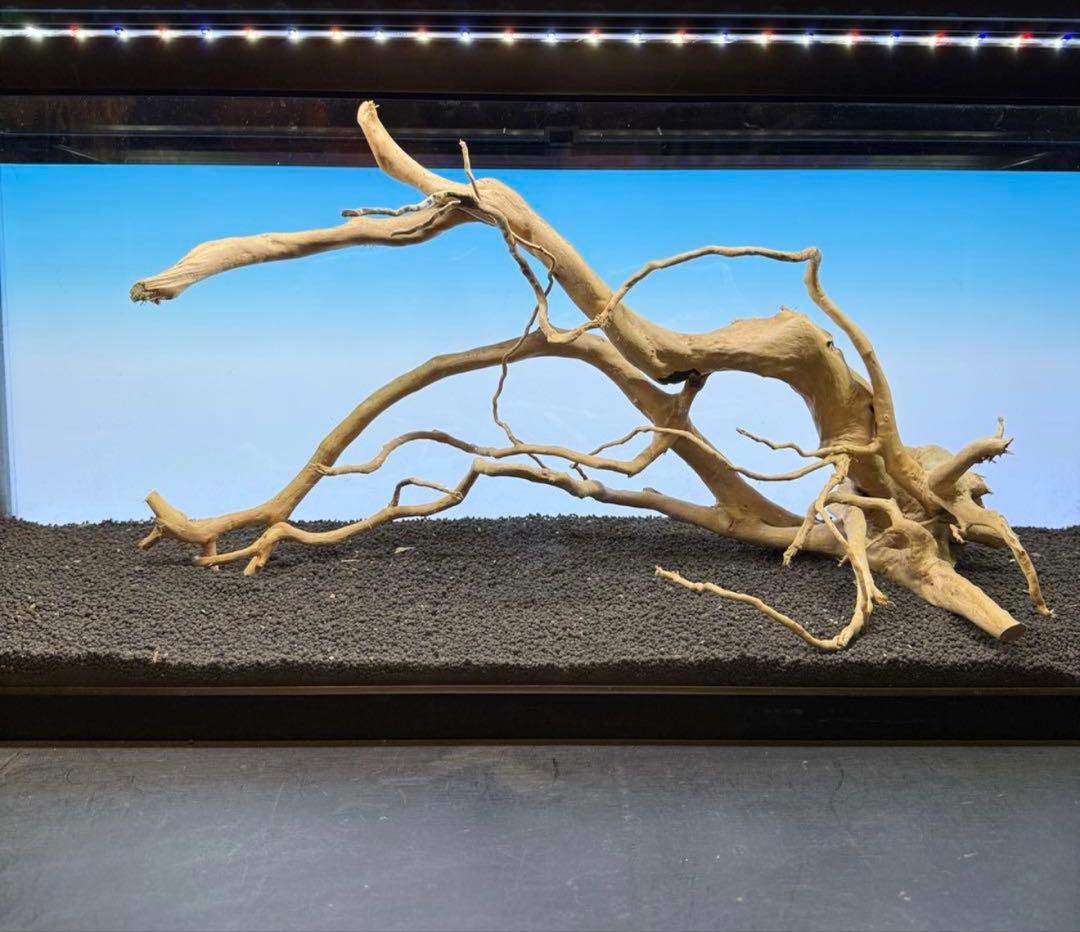 MDW-6785 MDW-6999 特大ブランチウッド　流木　枝流木