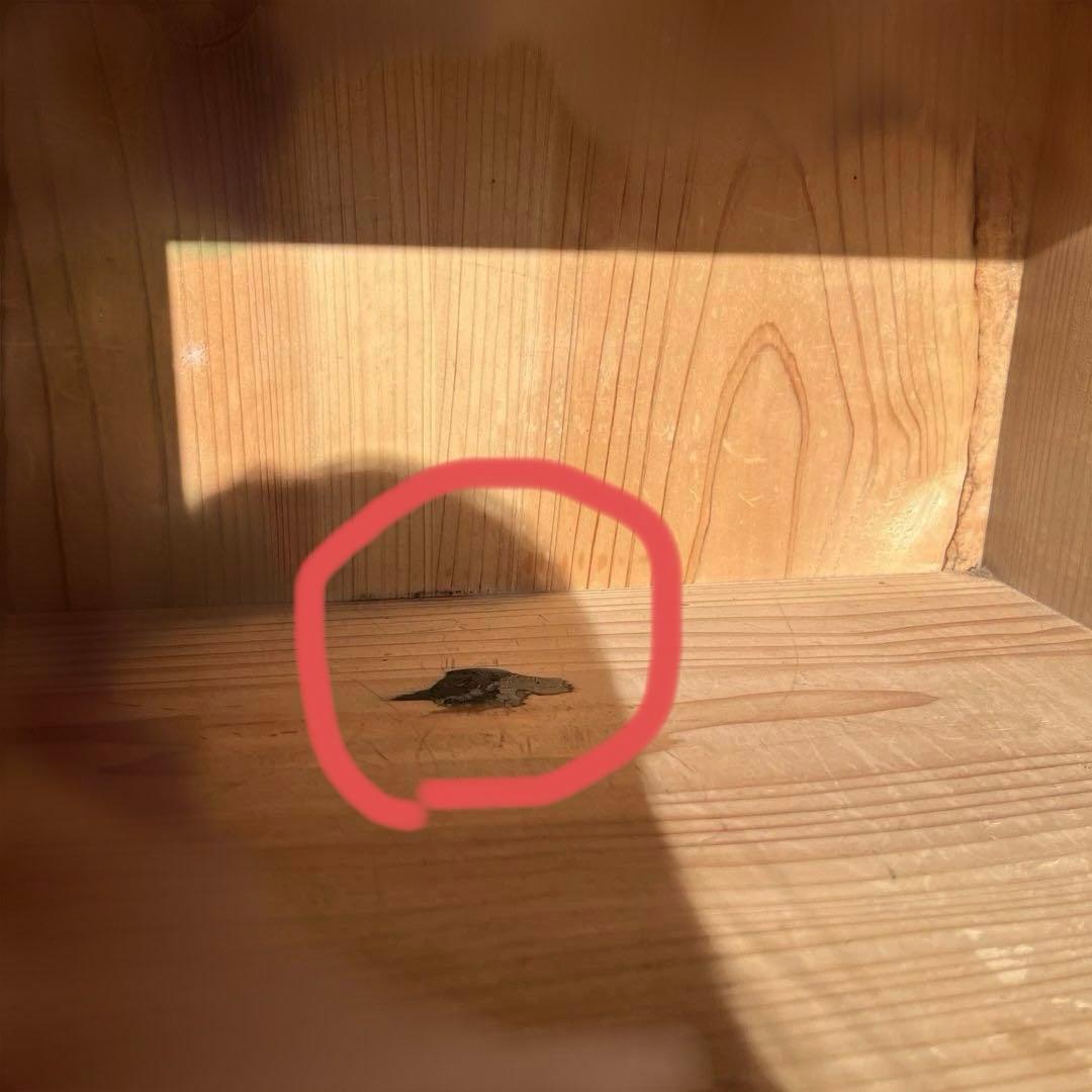 送料込　昭和レトロ　古民家　木製下駄箱　棚　引き戸　キャビネット　アンティーク