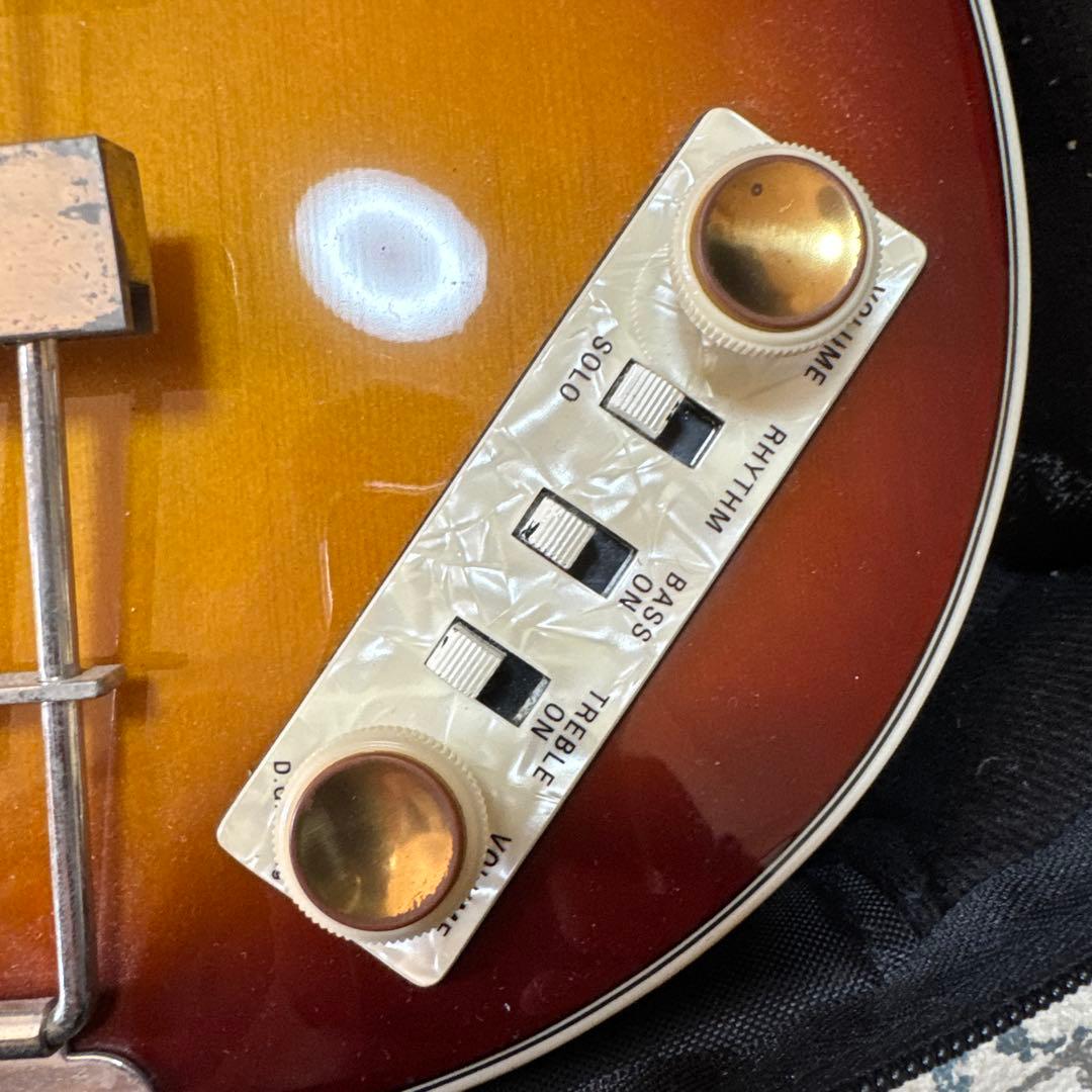 Hofner HCT-500/1 サンバースト ソフトケース付き