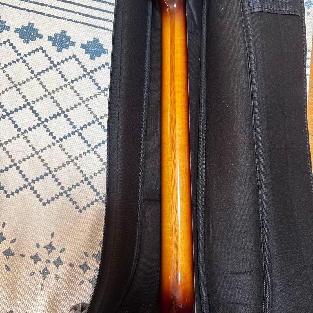 Hofner HCT-500/1 サンバースト ソフトケース付き