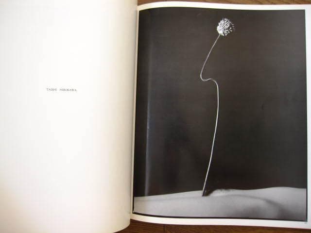 アート・デザイン・音楽 hysteric NO.2 1991 Self-Portrait