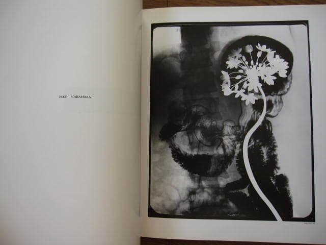 アート・デザイン・音楽 hysteric NO.2 1991 Self-Portrait